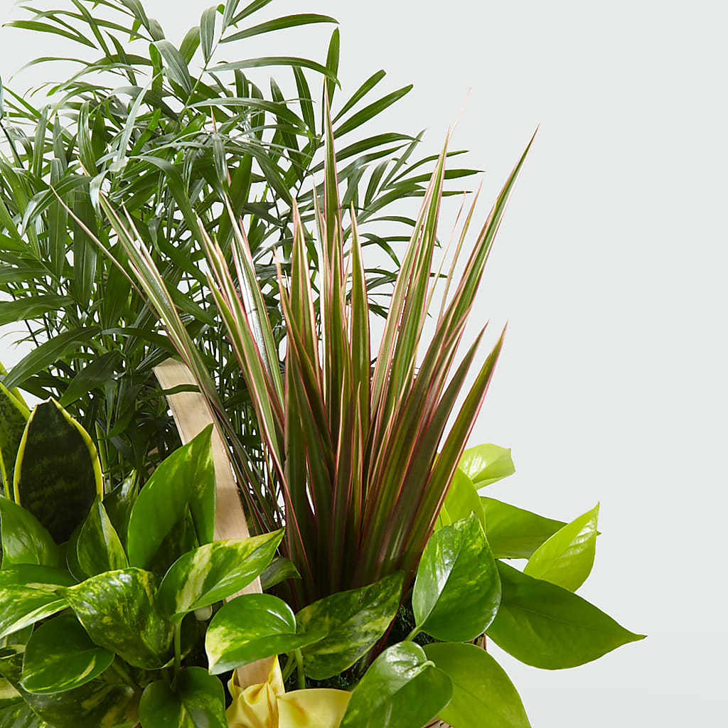 French Garden – Menlo Florist, Menlo Park CA