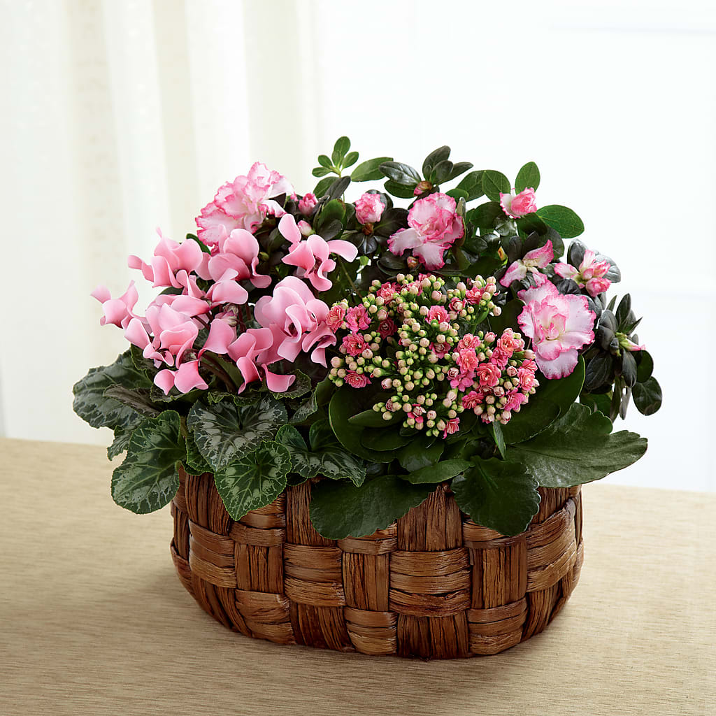 Pink Assortment – Menlo Florist, Menlo Park CA