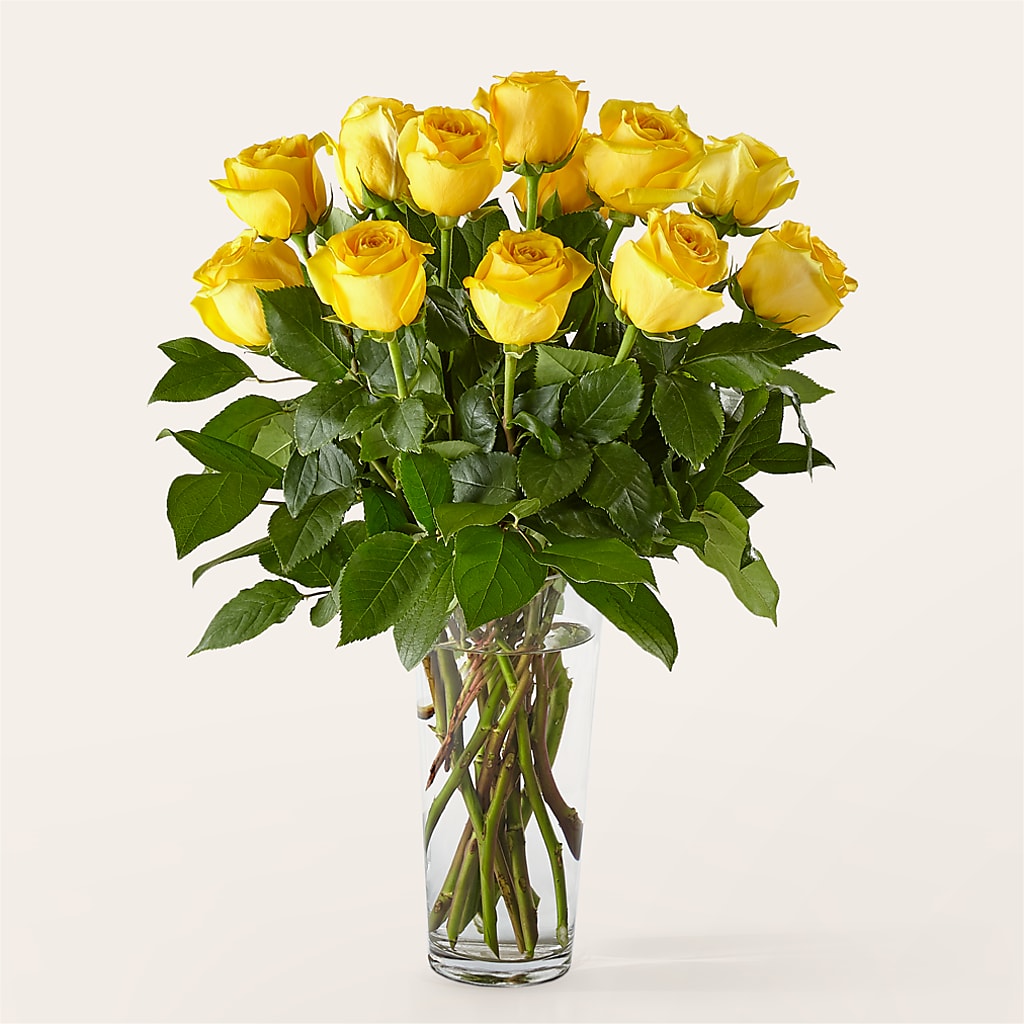 Long Stem Yellow Rose Bouquet – Menlo Florist, Menlo Park CA