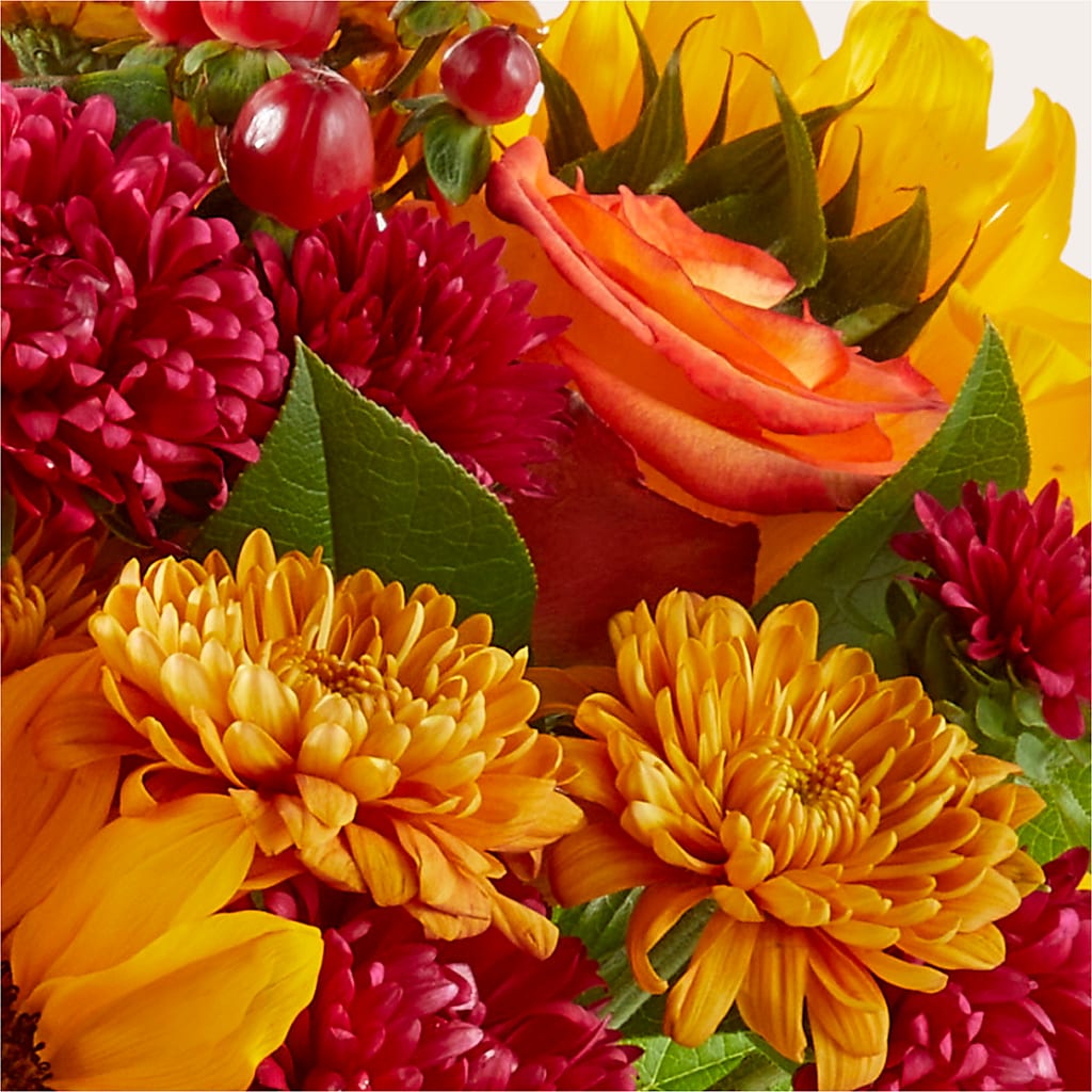 Sweater Season - A Florist Original – Menlo Florist, Menlo Park CA