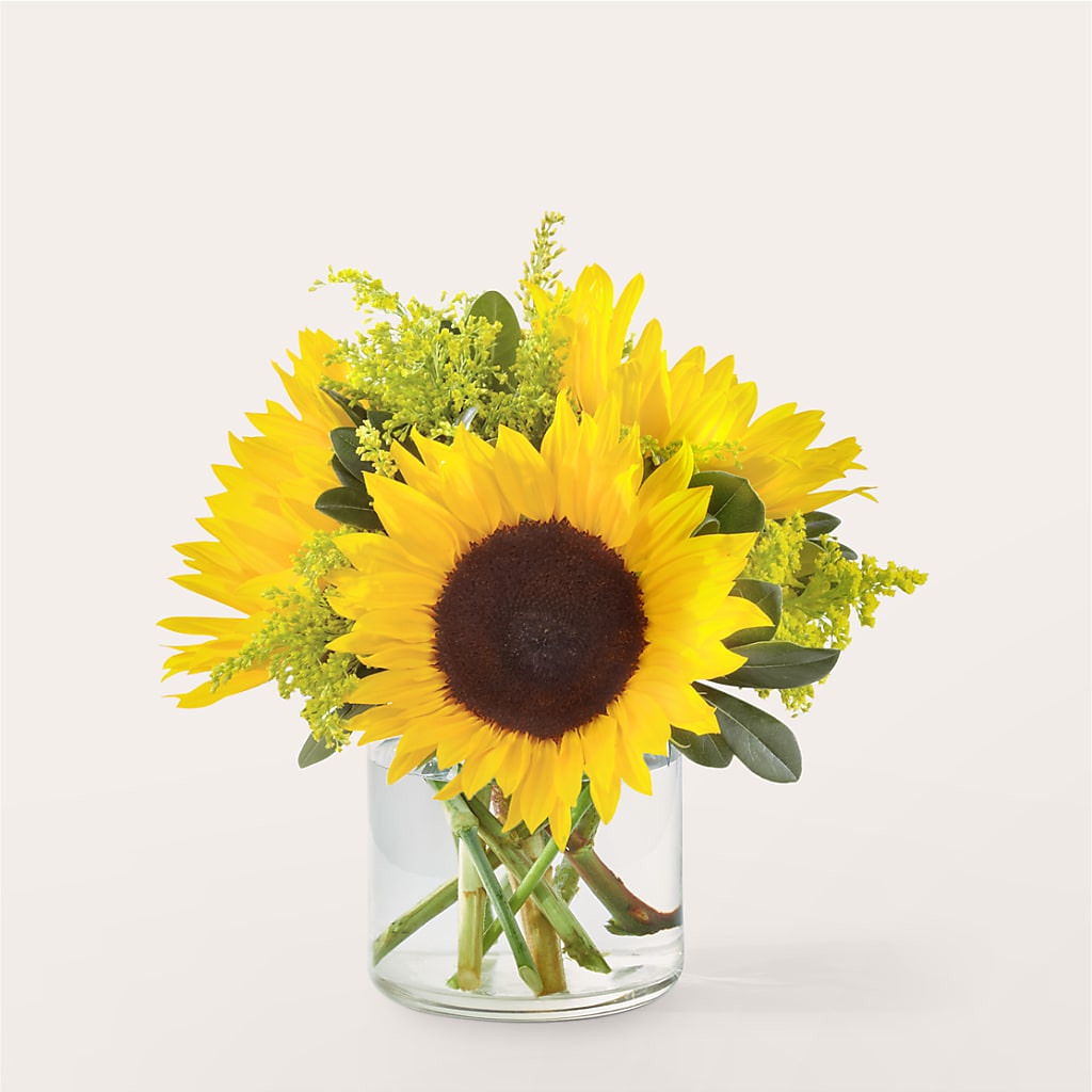 Beaming Sunflower Bouquet – Menlo Florist, Menlo Park CA