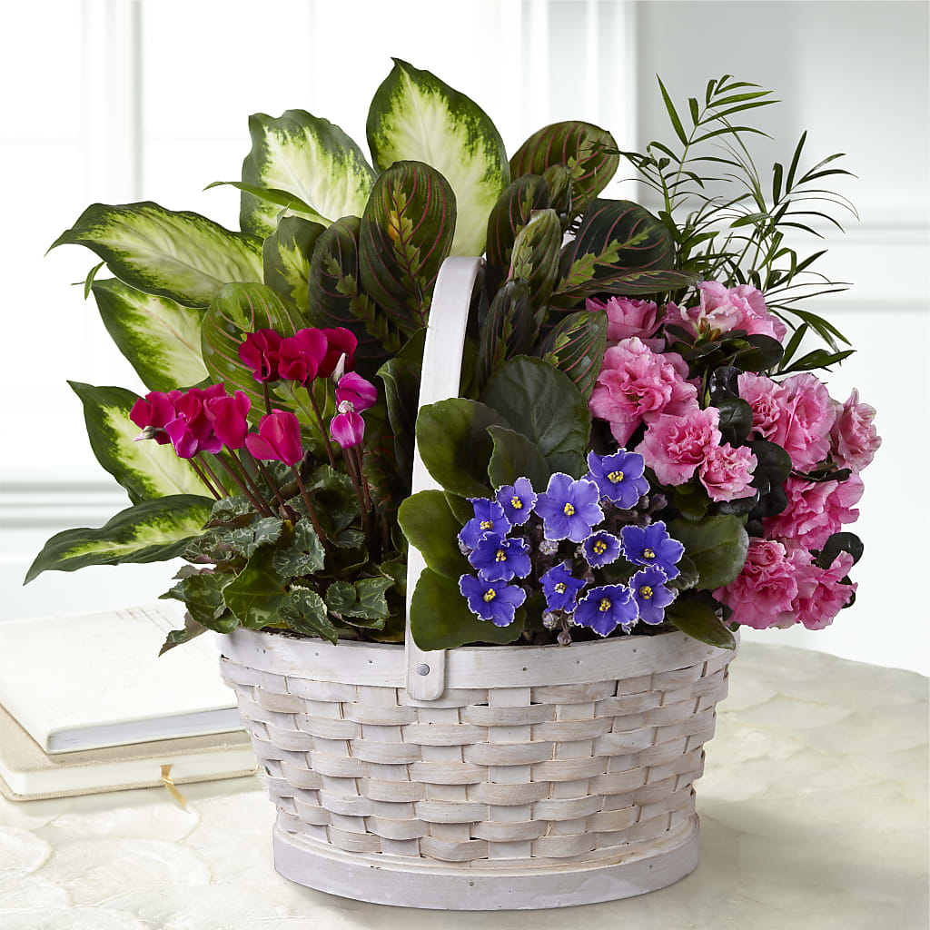 Peaceful Garden Planter – Menlo Florist, Menlo Park CA