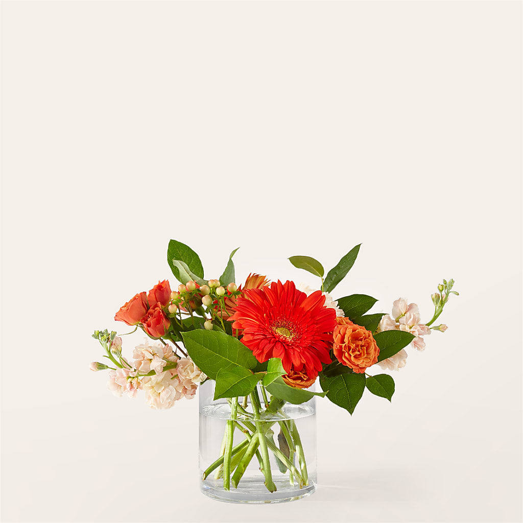 Paloma Please Bouquet – Menlo Florist, Menlo Park CA