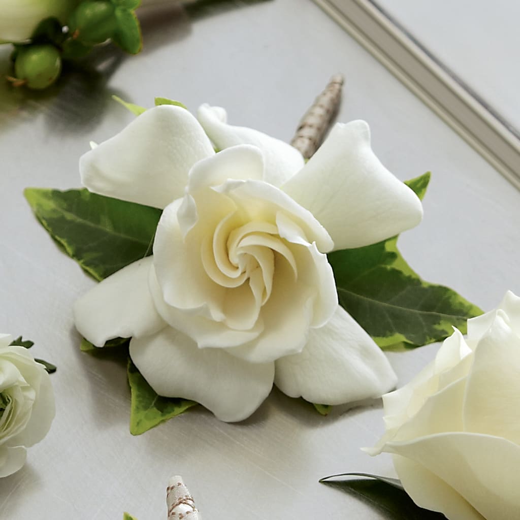 Gardenia Boutonniere – Menlo Florist, Menlo Park CA