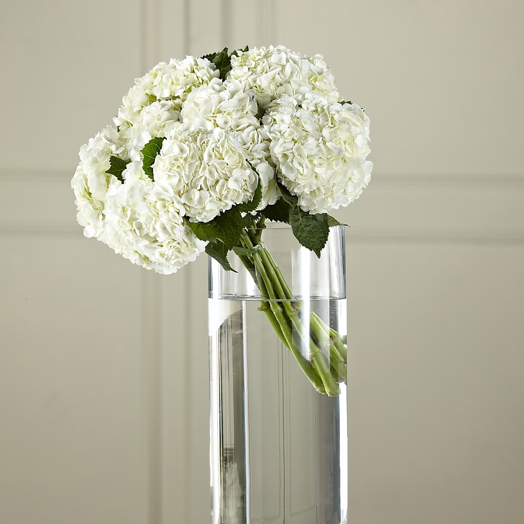 White Hydrangea Hand-Tied Bouquet – Menlo Florist, Menlo Park CA