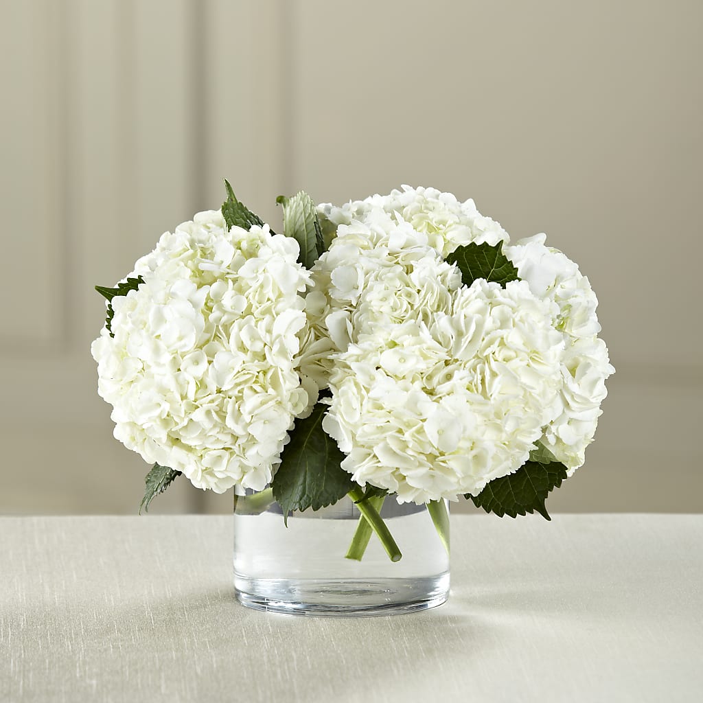 White Hydrangea Bouquet – Menlo Florist, Menlo Park CA