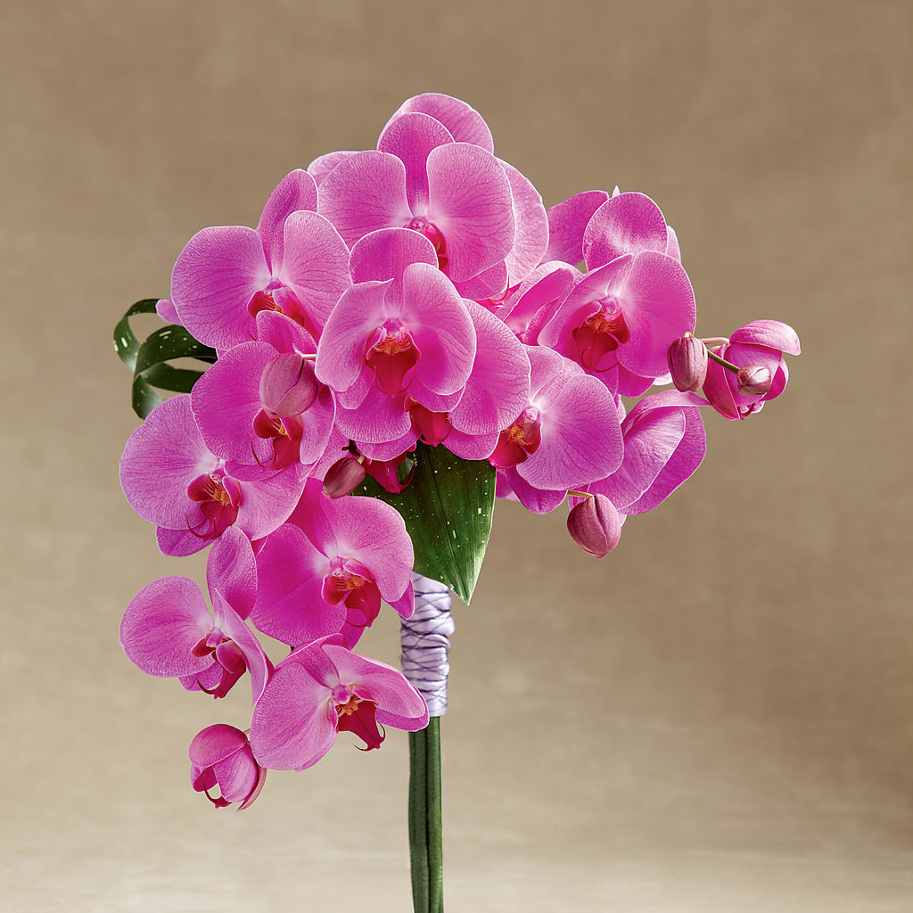 Glorious Bouquet – Menlo Florist, Menlo Park CA
