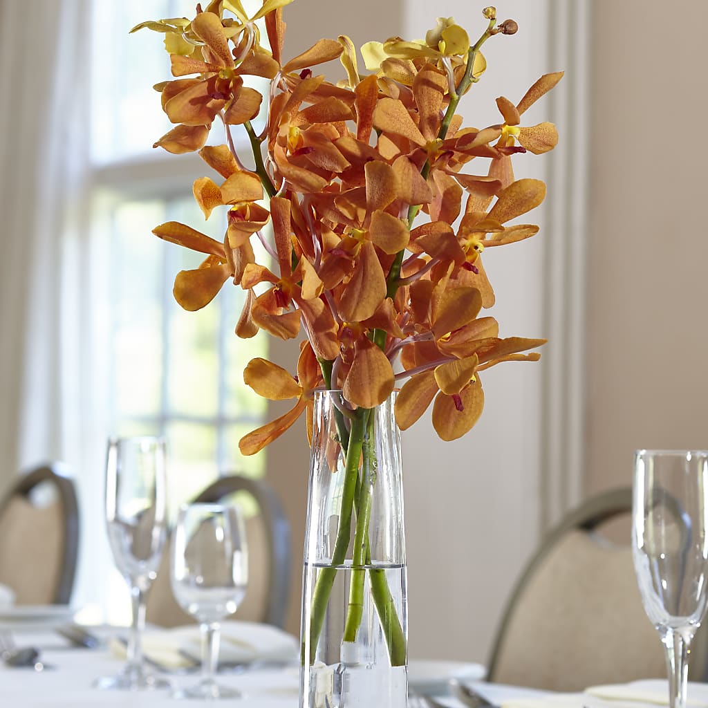 Orange Mokara Bud Vase – Menlo Florist, Menlo Park CA