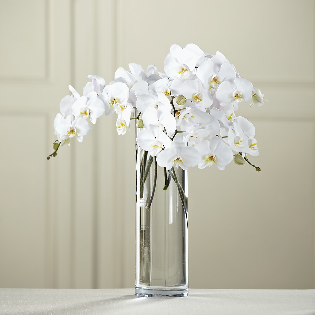 White Phalaenopsis Bouquet – Menlo Florist, Menlo Park CA