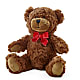 Adorable Plush Bear –  Menlo Florist, Menlo Park CA