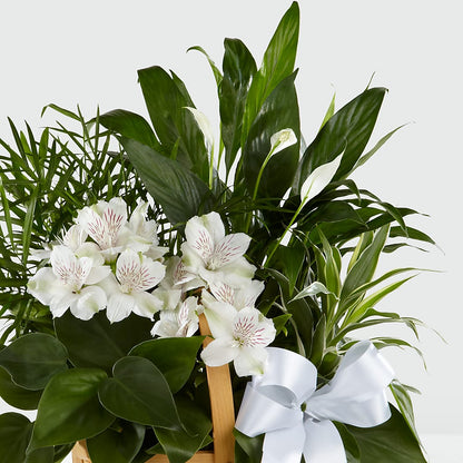 Peace & Serenity Dishgarden –  Menlo Florist, Menlo Park CA
