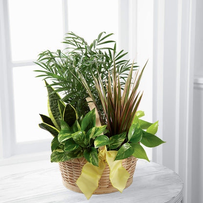 French Garden –  Menlo Florist, Menlo Park CA