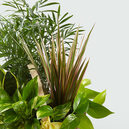 French Garden –  Menlo Florist, Menlo Park CA