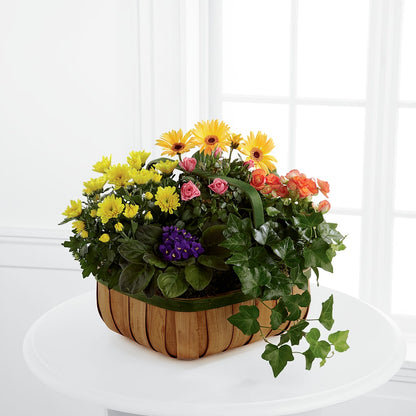 Gentle Blossoms Basket –  Menlo Florist, Menlo Park CA