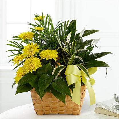 Loving Light Dishgarden –  Menlo Florist, Menlo Park CA