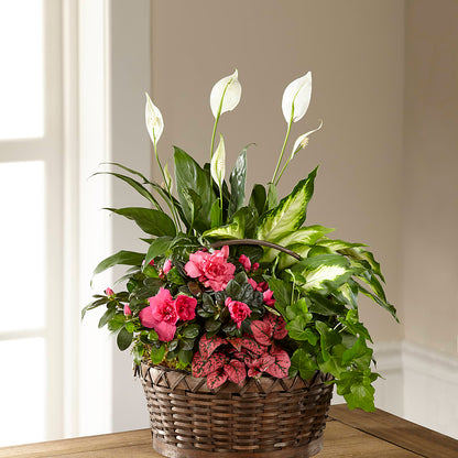 Dream in Pink Dishgarden –  Menlo Florist, Menlo Park CA