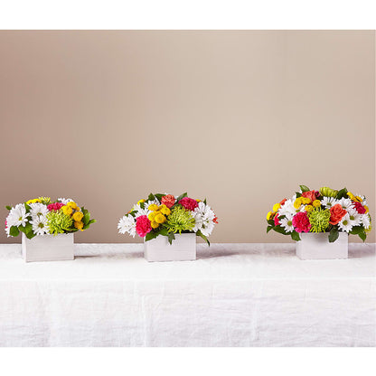 Sorbet Bouquet –  Menlo Florist, Menlo Park CA