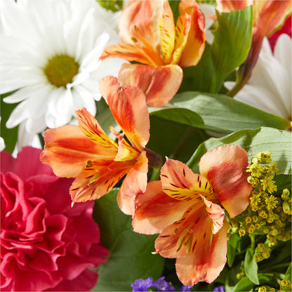 Oopsie Daisy Box Bouquet –  Menlo Florist, Menlo Park CA