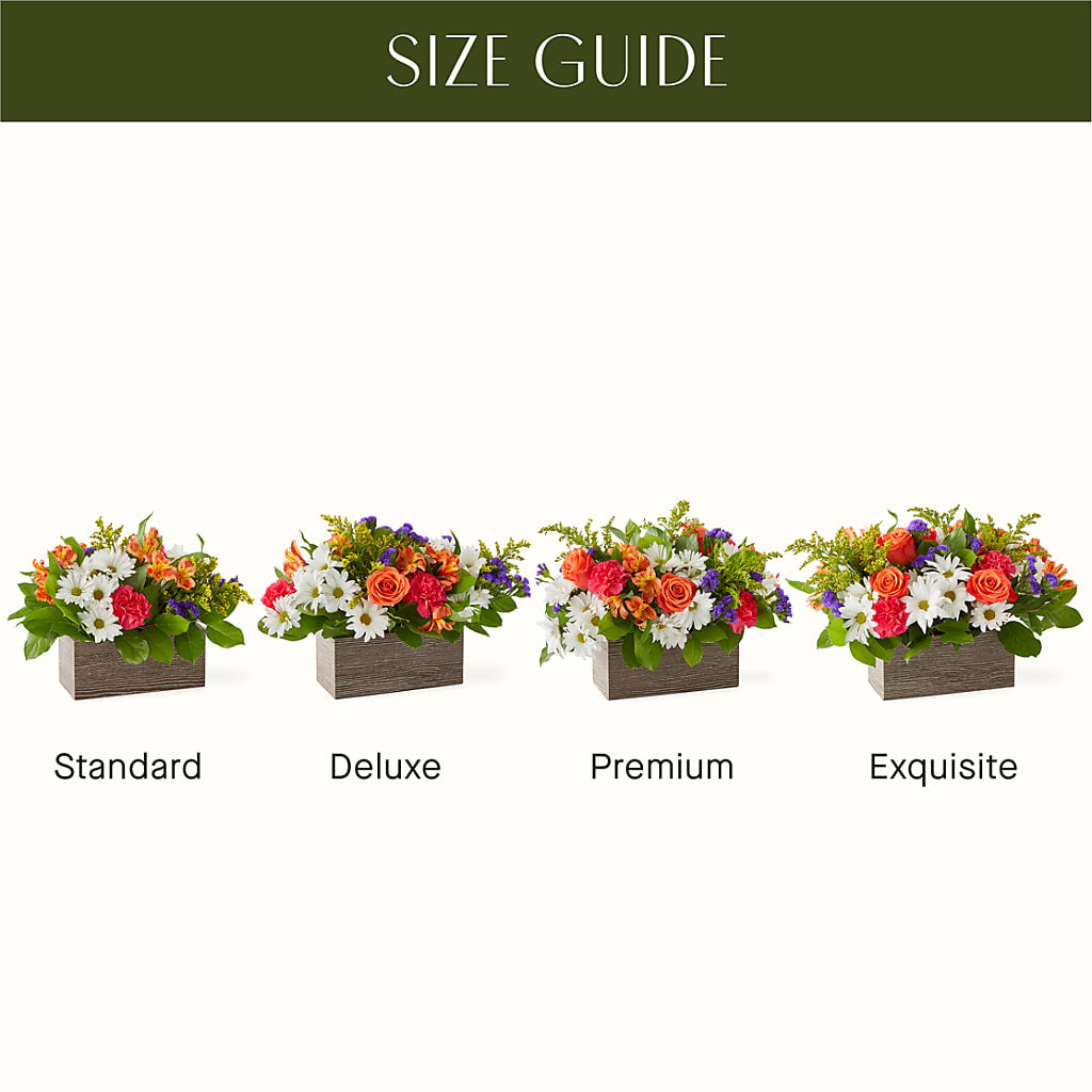Oopsie Daisy Box Bouquet –  Menlo Florist, Menlo Park CA