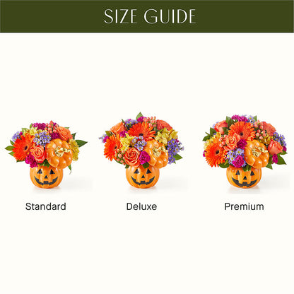 Tricks & Treats Pumpkin –  Menlo Florist, Menlo Park CA
