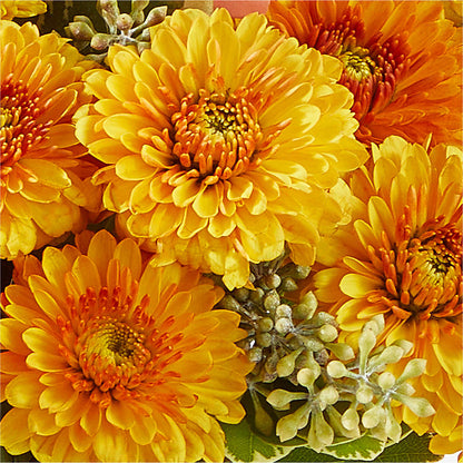 Peachy Pumpkin –  Menlo Florist, Menlo Park CA