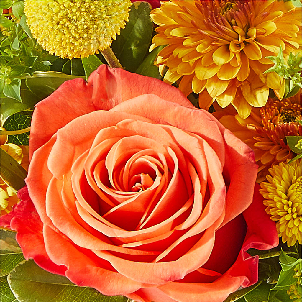 Gourdgeous Pumpkin –  Menlo Florist, Menlo Park CA