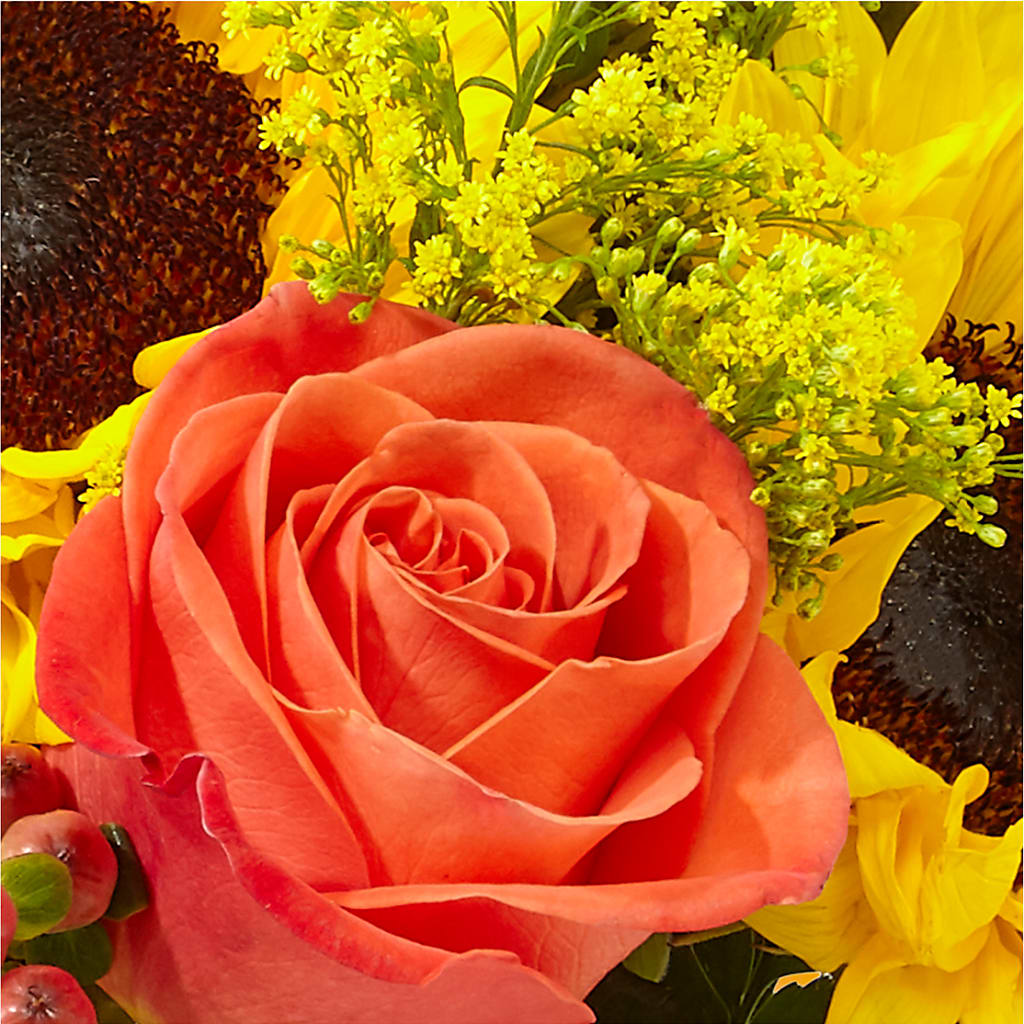 Pick of the Patch Pumpkin Bouquet –  Menlo Florist, Menlo Park CA