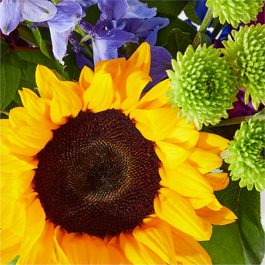 Catching Rays Bouquet –  Menlo Florist, Menlo Park CA