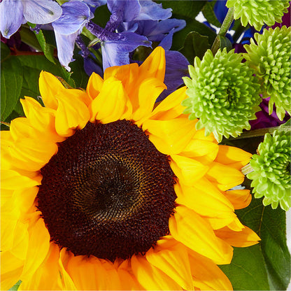 Catching Rays Bouquet –  Menlo Florist, Menlo Park CA