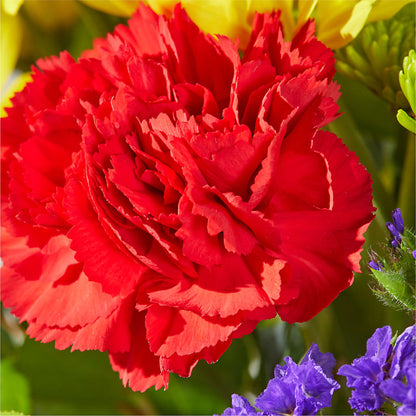 Brighter Days Bouquet –  Menlo Florist, Menlo Park CA