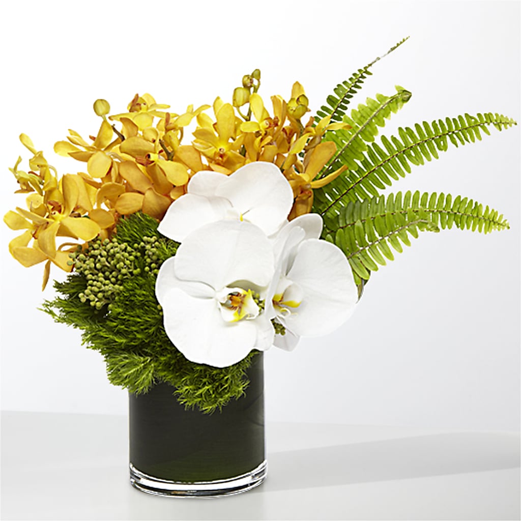 The Tropics –  Menlo Florist, Menlo Park CA