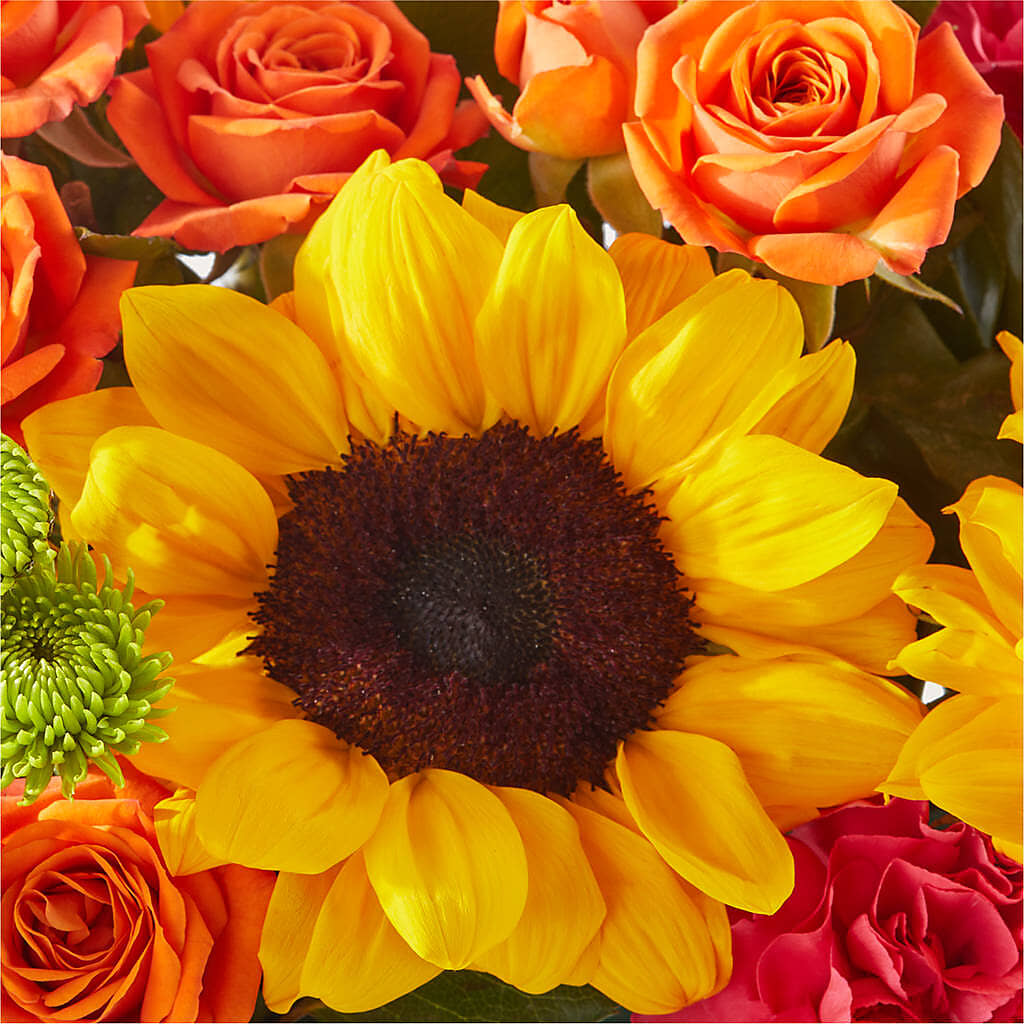 Sun-drenched Blooms Box Bouquet –  Menlo Florist, Menlo Park CA