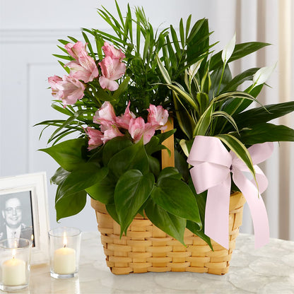 Living Spirit Dishgarden –  Menlo Florist, Menlo Park CA