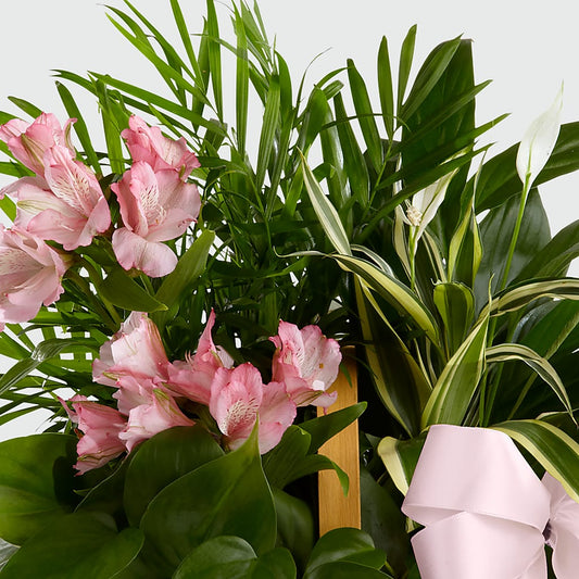Living Spirit Dishgarden –  Menlo Florist, Menlo Park CA