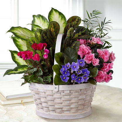 Peaceful Garden Planter –  Menlo Florist, Menlo Park CA