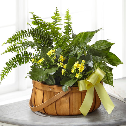 Always Dear Dishgarden –  Menlo Florist, Menlo Park CA