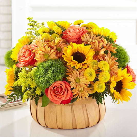 Harvest Sunflower Basket –  Menlo Florist, Menlo Park CA