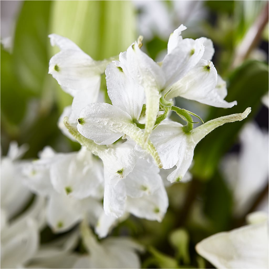 Classic Ivory – A Florist Original –  Menlo Florist, Menlo Park CA