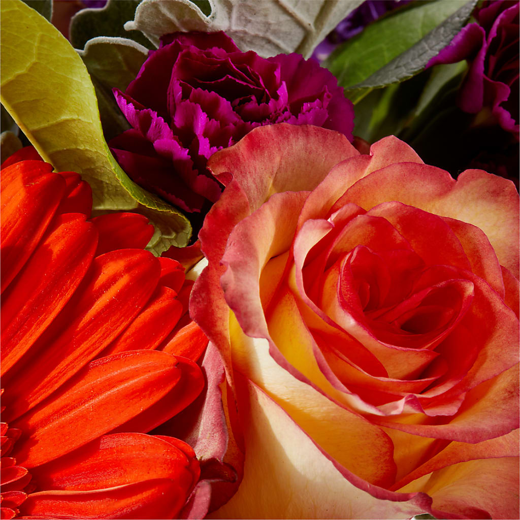 Sangria Bouquet –  Menlo Florist, Menlo Park CA