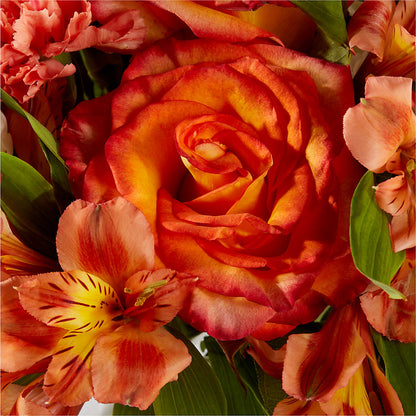 Apricot Glow Bouquet –  Menlo Florist, Menlo Park CA