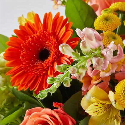 Autumn Sunshine Bouquet –  Menlo Florist, Menlo Park CA