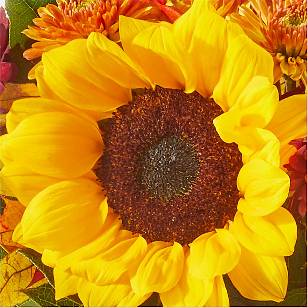 Sunny Side Bouquet –  Menlo Florist, Menlo Park CA