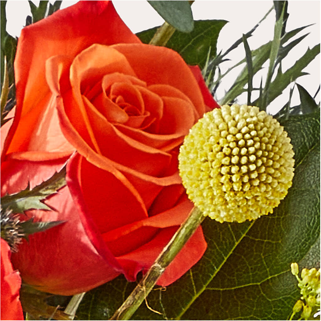 Disco Bouquet –  Menlo Florist, Menlo Park CA