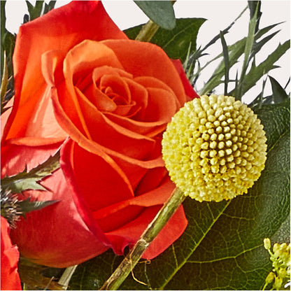 Disco Bouquet –  Menlo Florist, Menlo Park CA