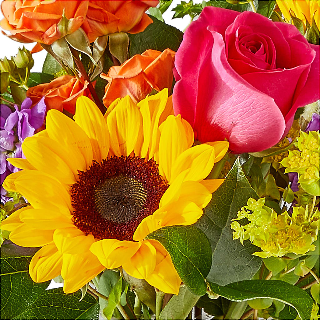 Vibrant Greetings Bouquet –  Menlo Florist, Menlo Park CA