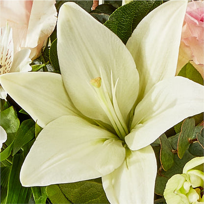 Ballet Slippers Bouquet –  Menlo Florist, Menlo Park CA