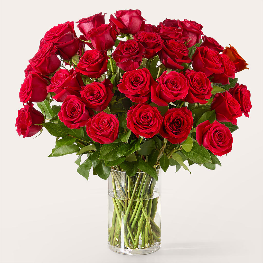 The One Red Rose Bouquet –  Menlo Florist, Menlo Park CA