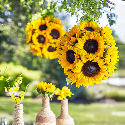 Sublime Garden Hanging Arrangement –  Menlo Florist, Menlo Park CA