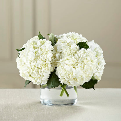 White Hydrangea Bouquet –  Menlo Florist, Menlo Park CA