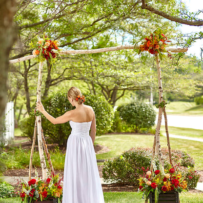 Arbor of Love Archway –  Menlo Florist, Menlo Park CA